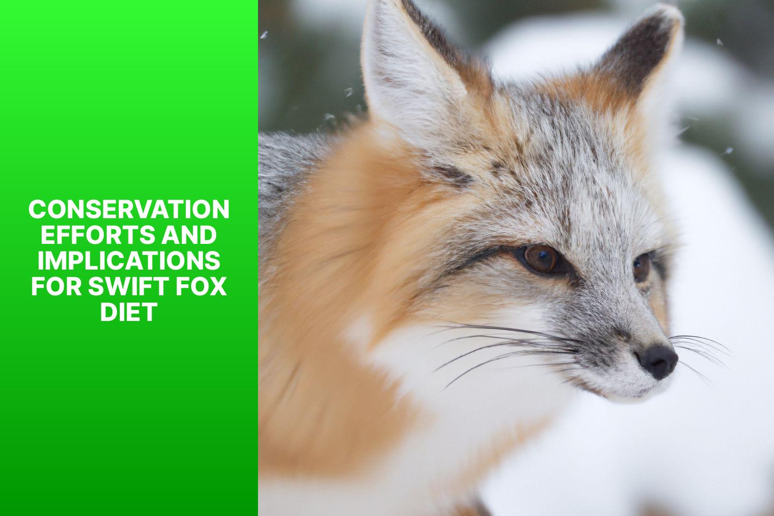 Conservation Efforts and Implications for Swift Fox Diet - Swift Fox Diet in Winter 