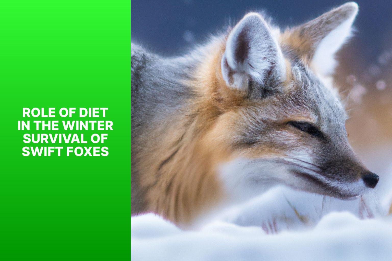 Role of Diet in the Winter Survival of Swift Foxes - Swift Fox Diet in Winter 