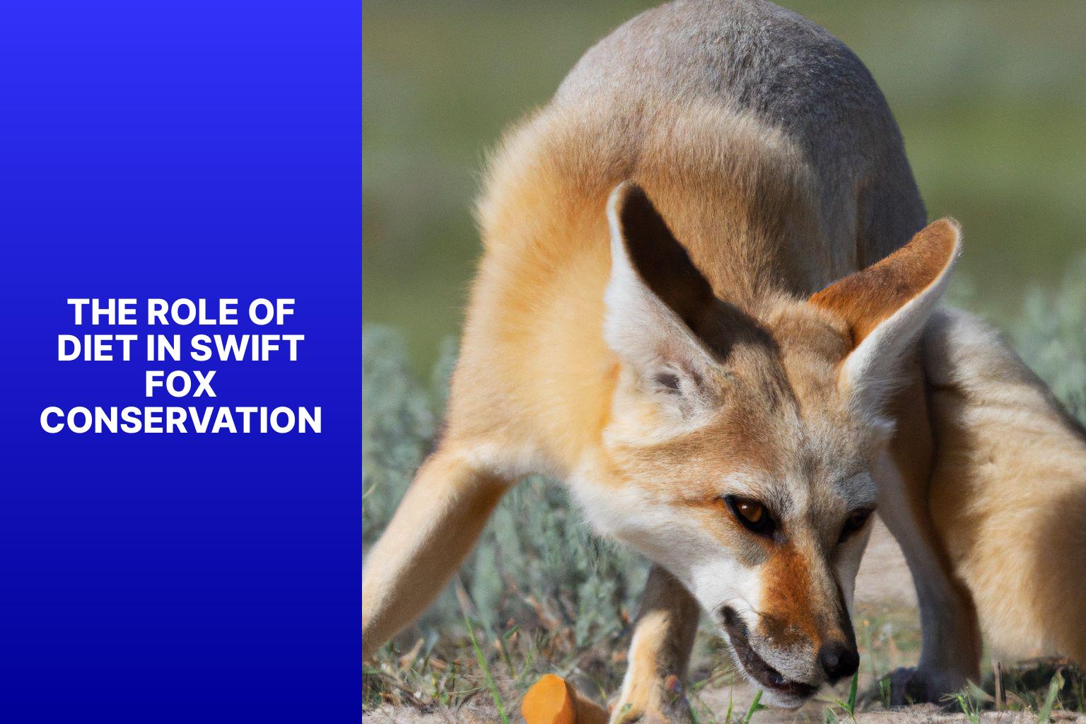 The Role of Diet in Swift Fox Conservation - Swift Fox Diet 