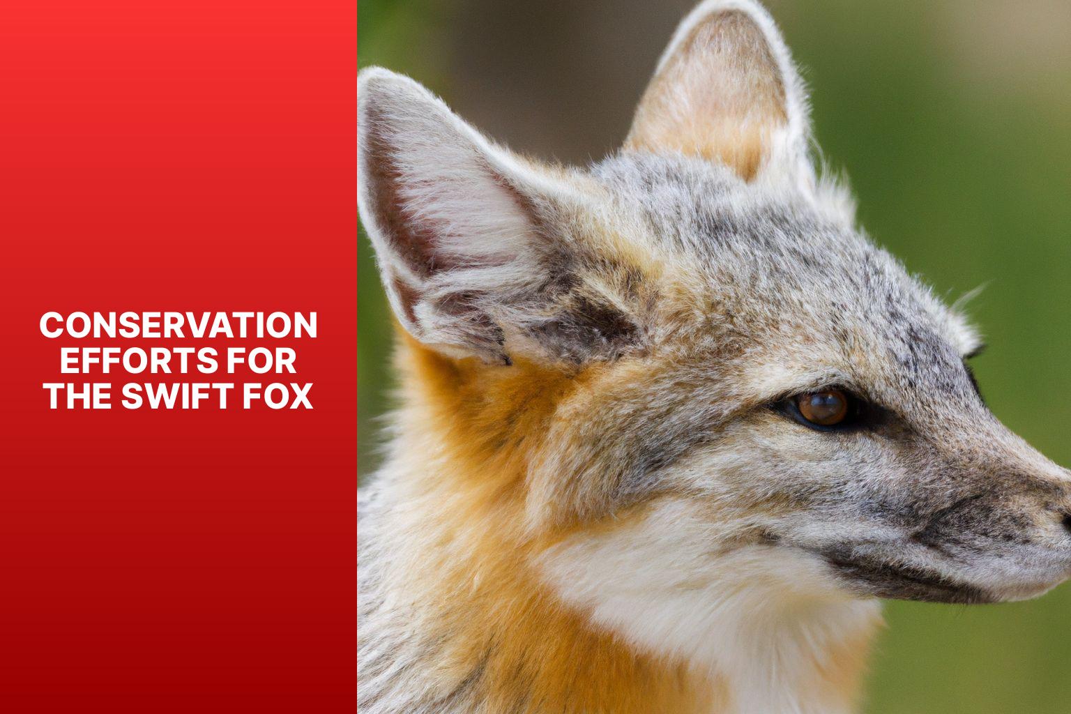 Conservation Efforts for the Swift Fox - Swift Fox IUCN Status 