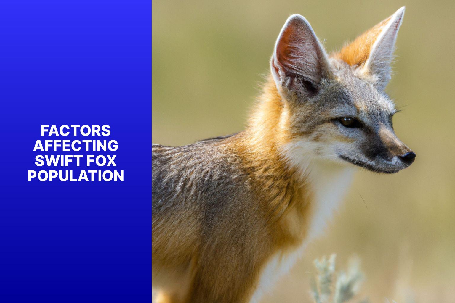 Factors Affecting Swift Fox Population - Swift Fox Population 