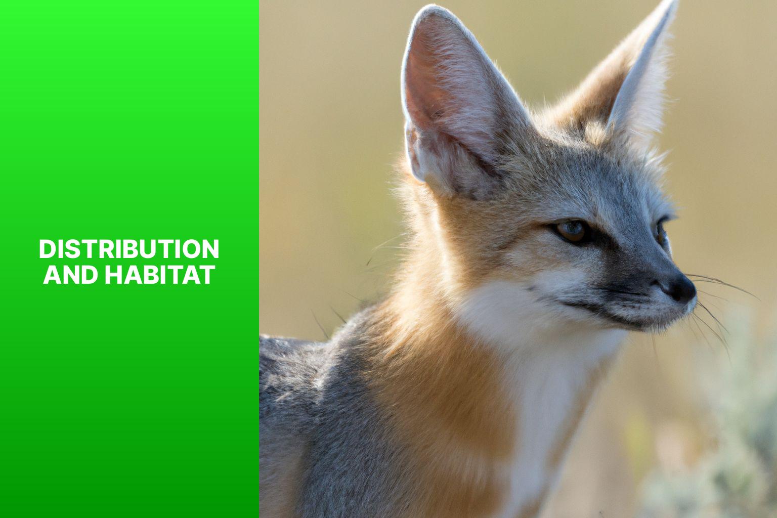 Distribution and Habitat - Swift Fox Population 