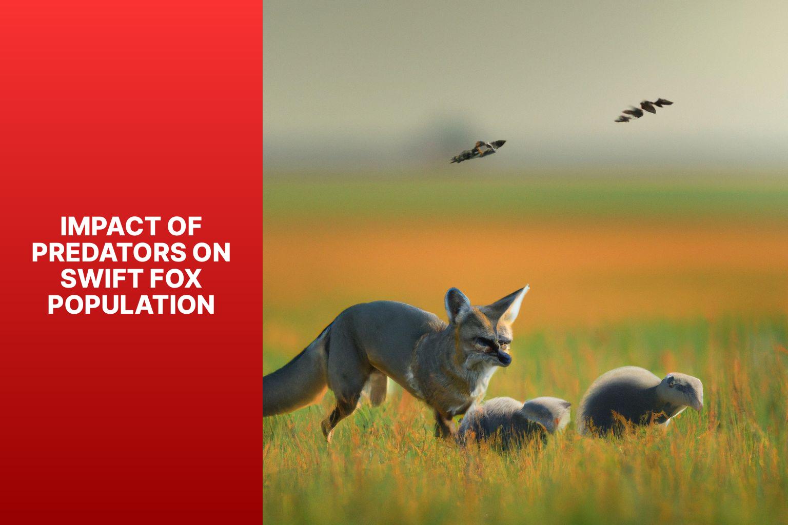 Impact of Predators on Swift Fox Population - Swift Fox Predators 