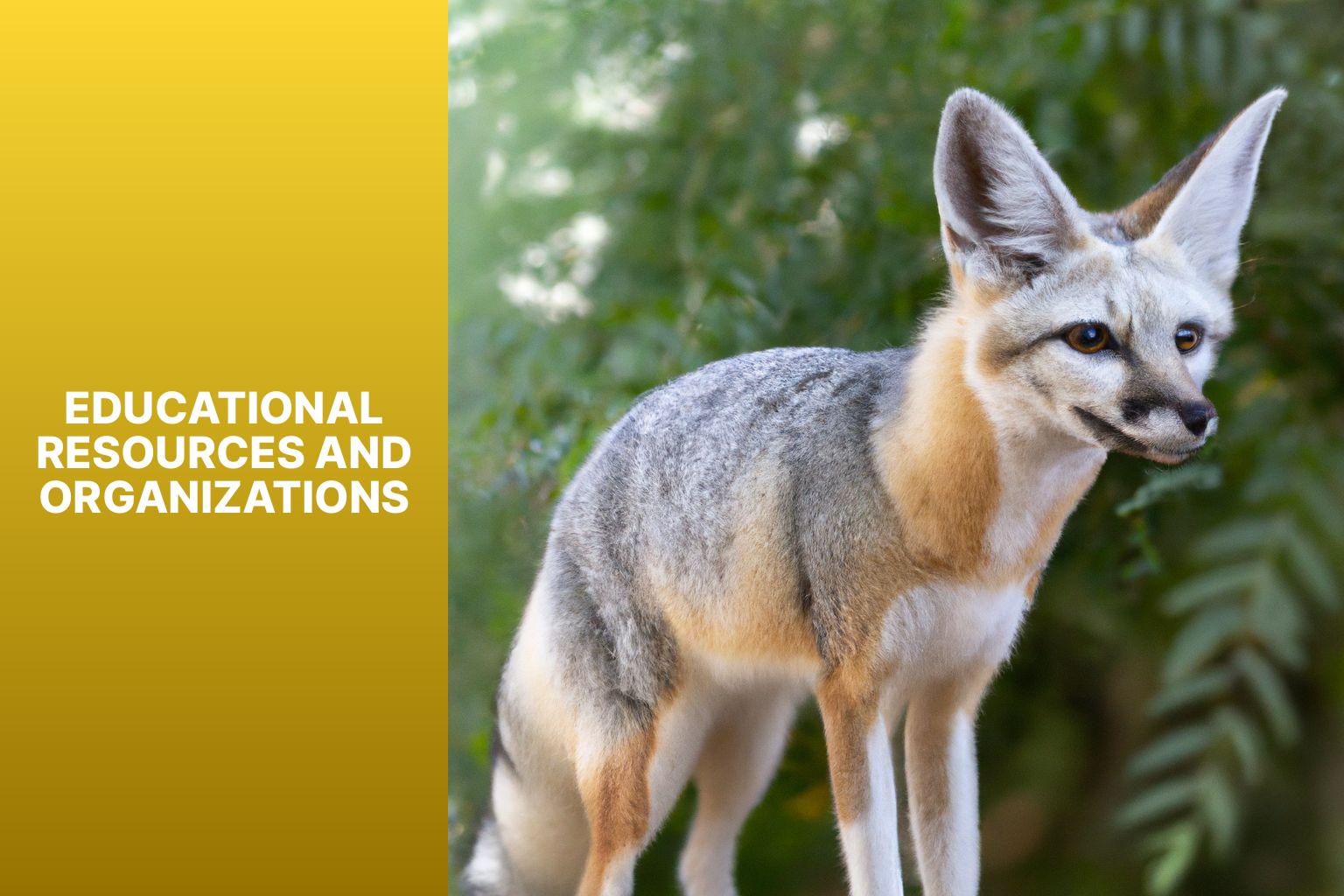Educational Resources and Organizations - Swift Fox Taxonomy 