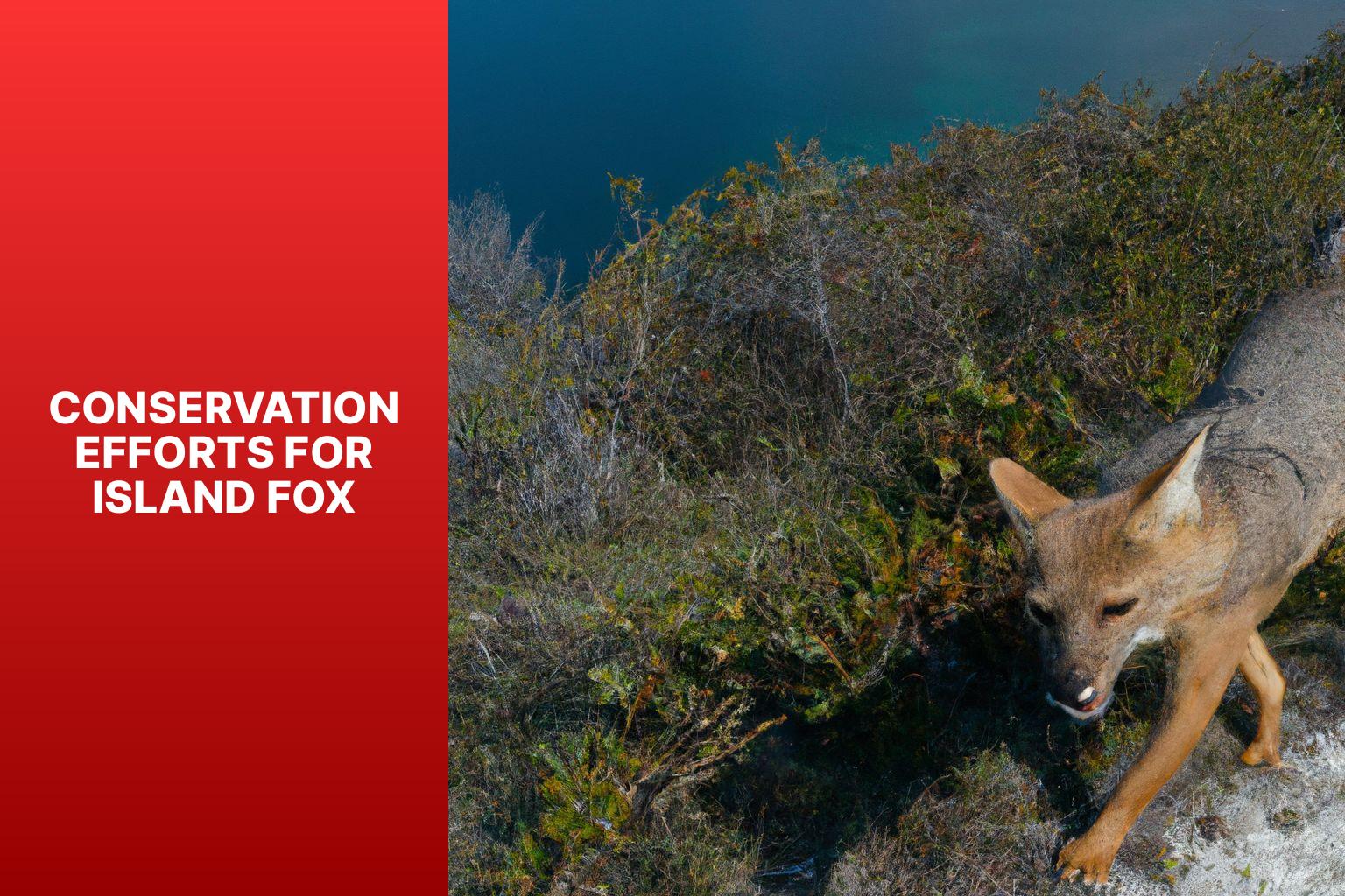 Conservation Efforts for Island Fox - Threats to Island Fox 