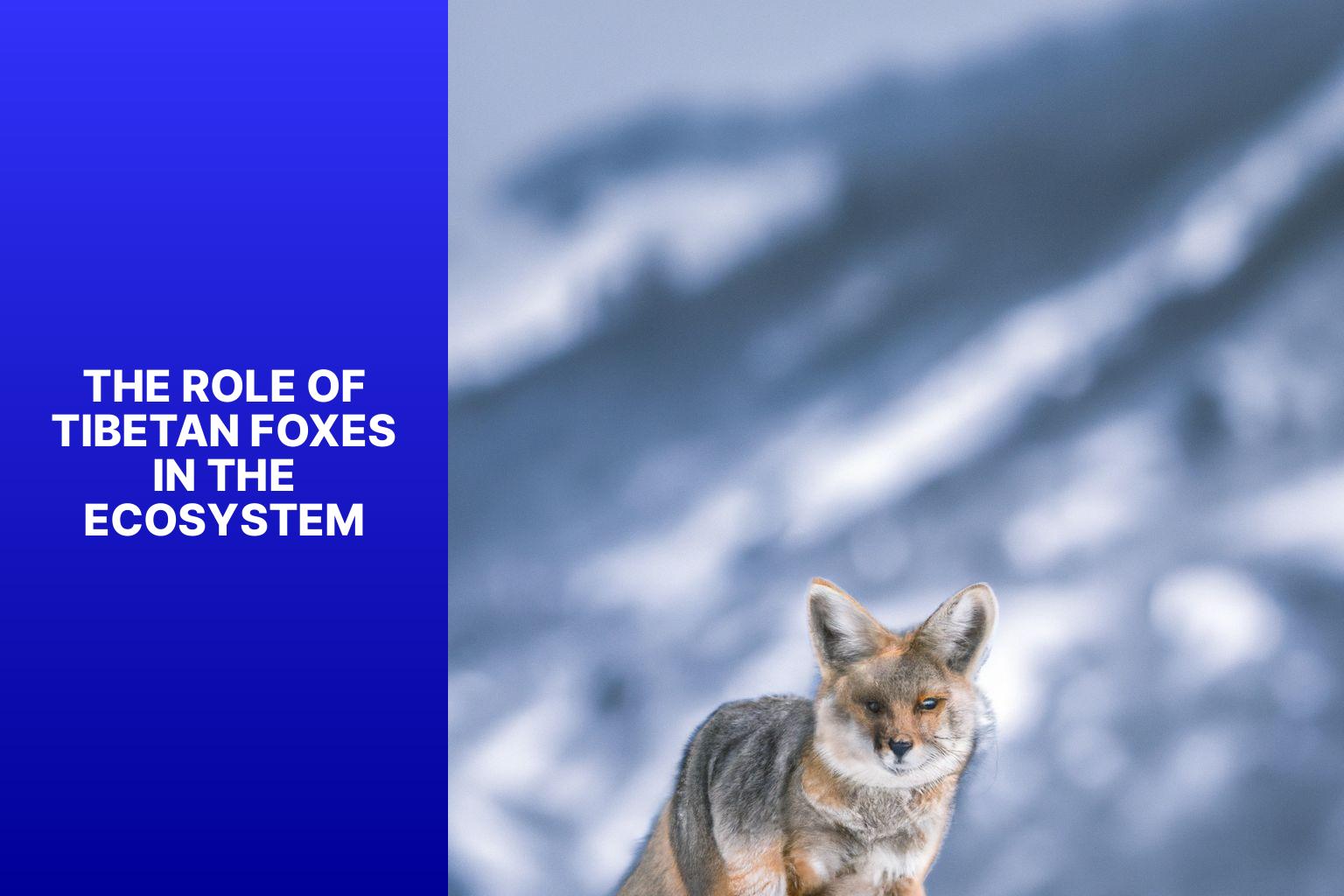 The Role of Tibetan Foxes in the Ecosystem - Tibetan Fox in Nepal 