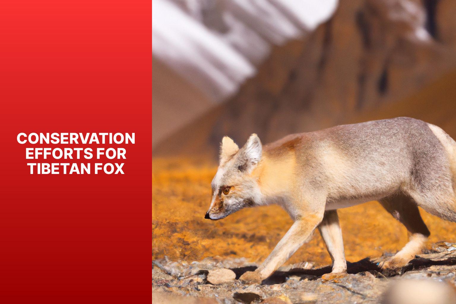 Conservation Efforts for Tibetan Fox - Tibetan Fox scientific research 