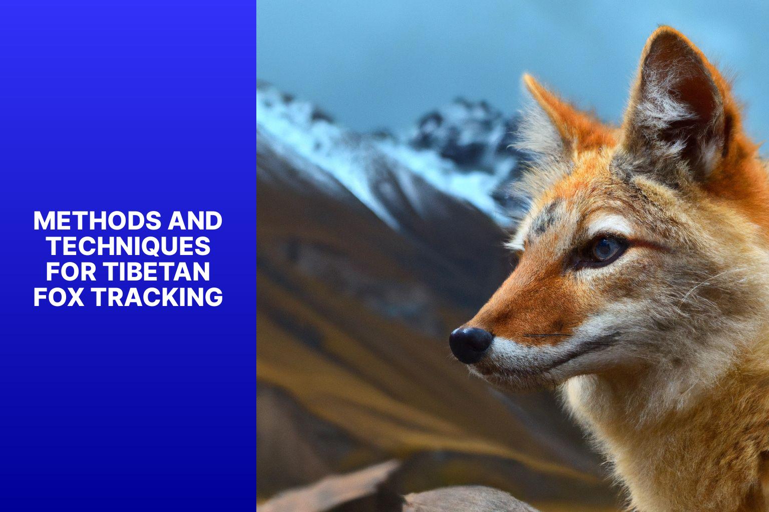 Methods and Techniques for Tibetan Fox Tracking - Tibetan Fox tracking 
