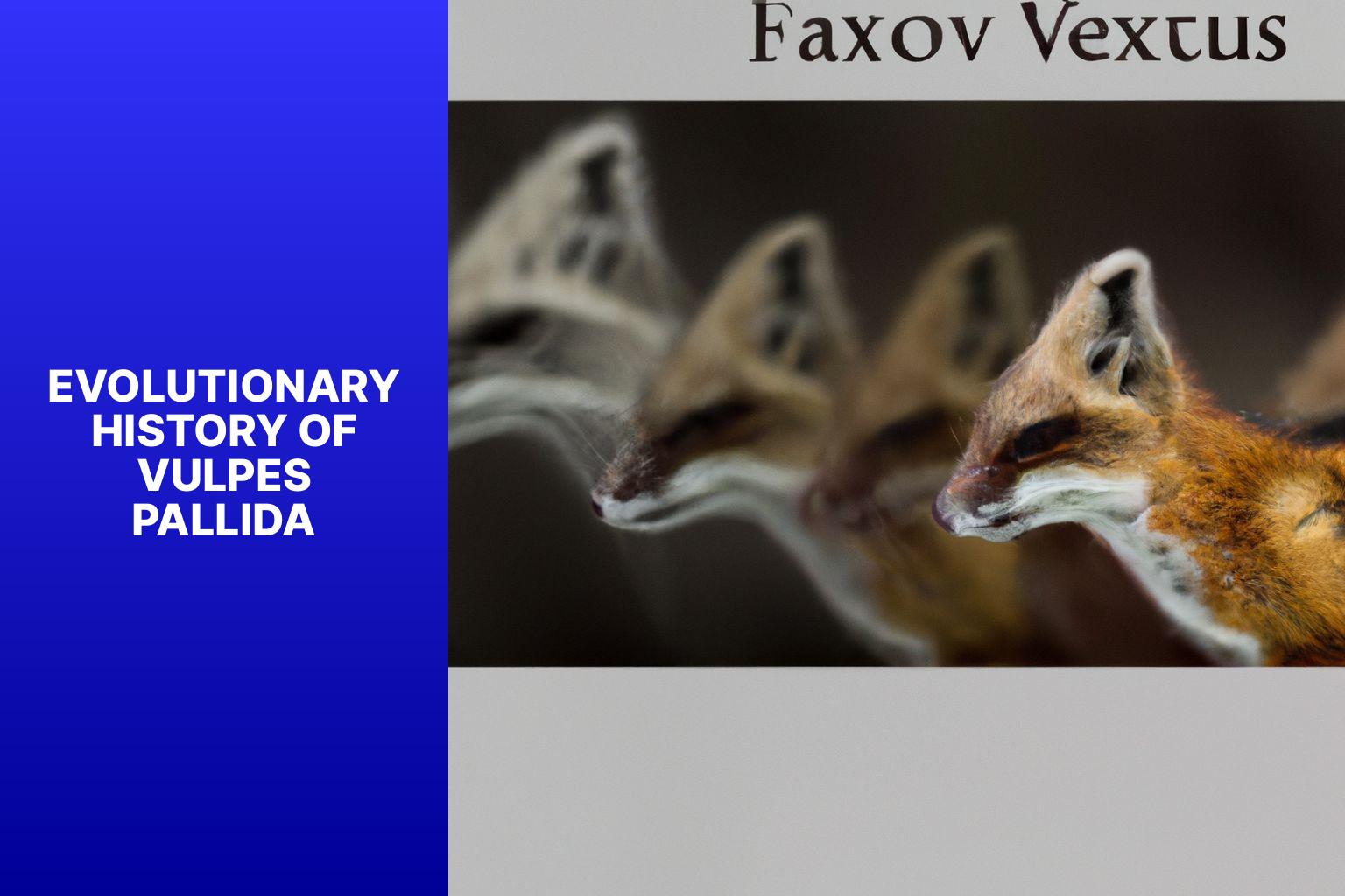 Evolutionary History of Vulpes Pallida - Vulpes Pallida Taxonomy 