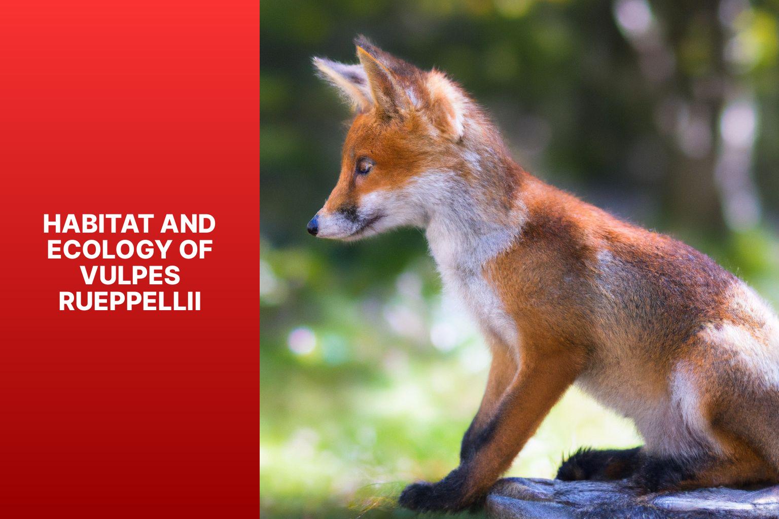 Habitat and Ecology of Vulpes Rueppellii - Vulpes rueppellii in Animal Encyclopedias 