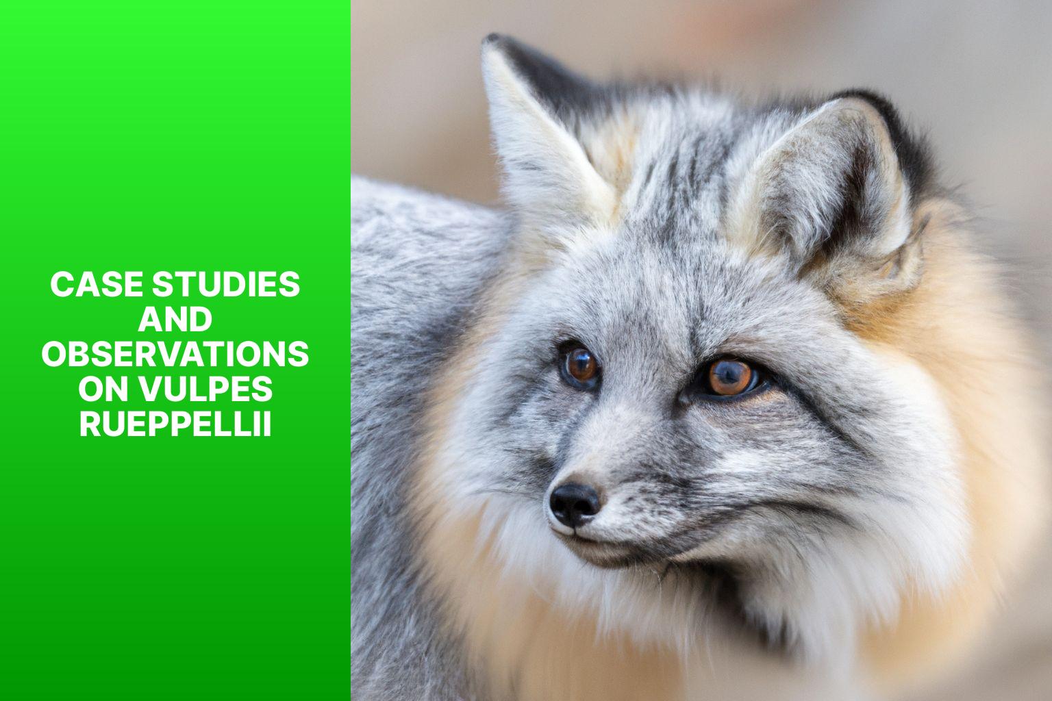 Case Studies and Observations on Vulpes rueppellii - Vulpes rueppellii in Scientific Journals 