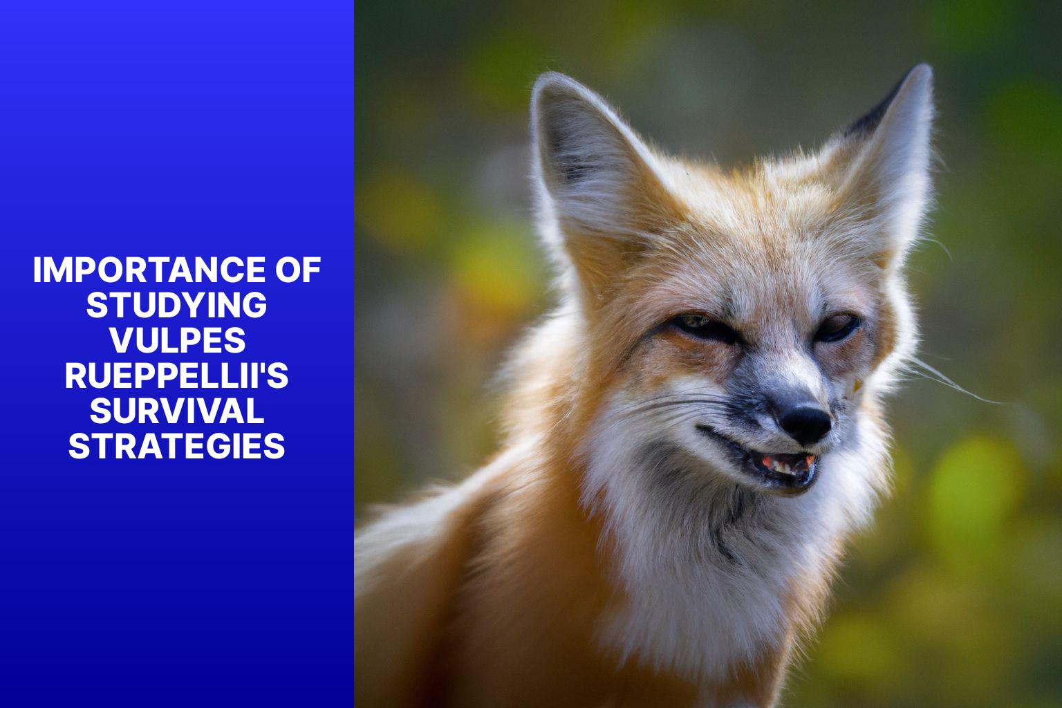 Importance of Studying Vulpes rueppellii